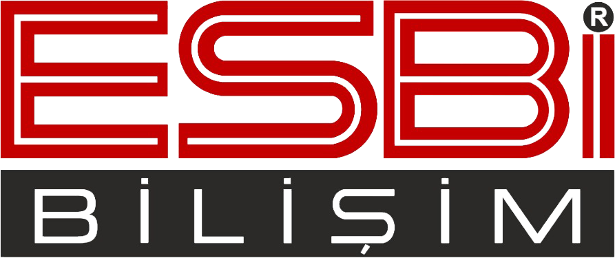 ESBI Logo
